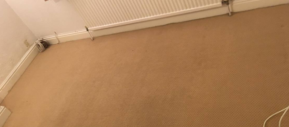 Why Do We Need To Deep Clean At Least Once A Year If We Have A Housekeeper At Home Every Week