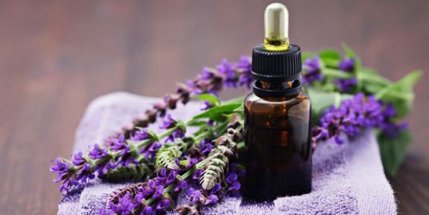 Essential Oils That Make Your Home a Healthy Place Essential Oils That Make Your Home a Healthy Place