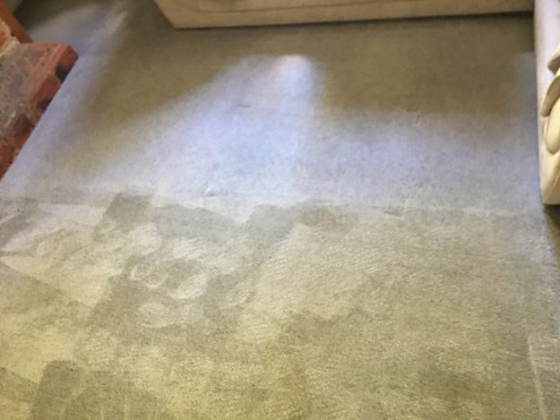 Carpet Cleaning Methods and How to Choose the Right One Carpet Cleaning Methods and How to Choose the Right One