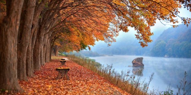 5 Autumn Colour Scheme to Brighten Your Home