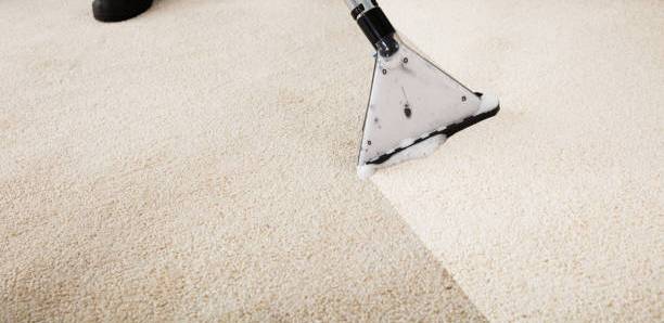 Close-up Of A Person Cleaning Carpet With Vacuum Cleaner