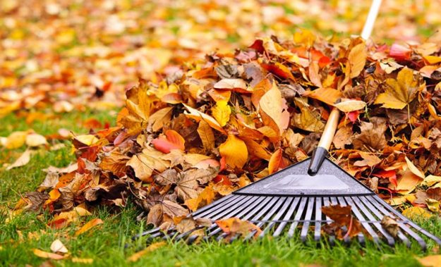 Autumn Hotspots to Focus on while Cleaning Autumn Hotspots to Focus on while Cleaning