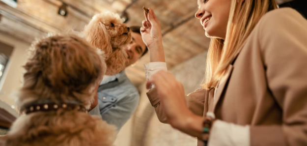 Summertime Cleaning: A Comprehensive Guide for Pet Owners Summertime Cleaning: A Comprehensive Guide for Pet Owners