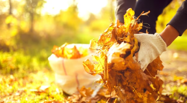 Autumn Deep Cleaning Autumn Deep Cleaning in Guildford: Why It's a Must for Every Home