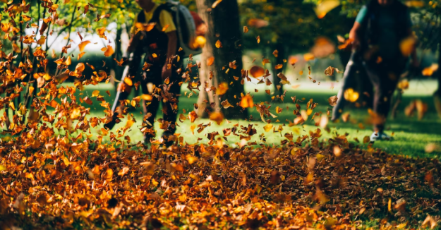How Professional Cleaning Keeps Your Home Healthy in Autumn How Professional Cleaning Keeps Your Home Healthy in Autumn