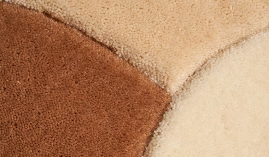 Top 5 Carpet Cleaning Myths: Debunking Common Misconceptions Top 5 Carpet Cleaning Myths: Debunking Common Misconceptions