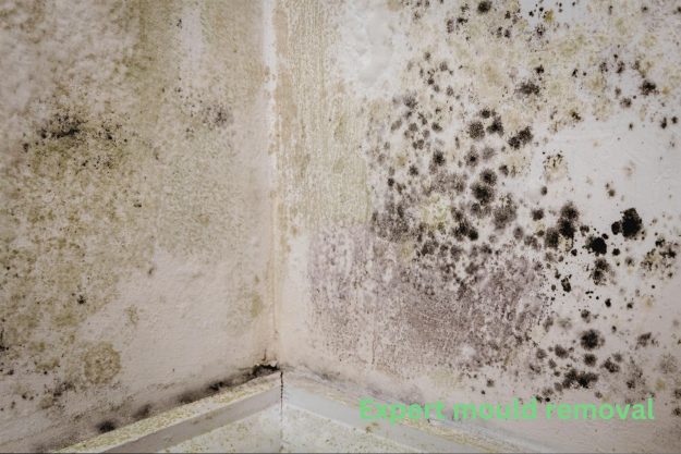 Expert mould removal services in Guildford Expert mould removal services in Guildford