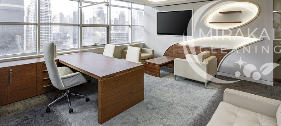 Professional Cleaning Company