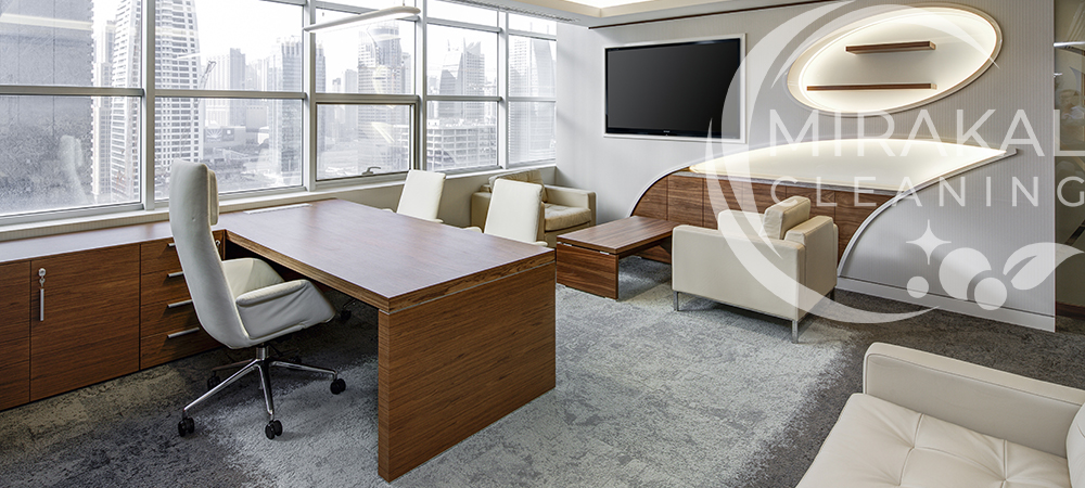 Professional Cleaning Company